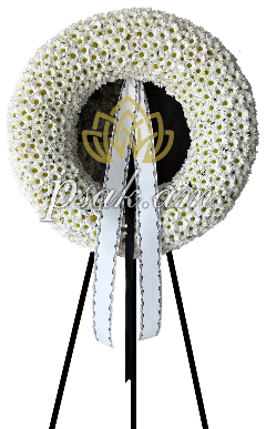 Սպիտակ Ծաղկեպսակ Երիցուկատիպ քրիզանտեմաներով Սպիտակ Ծաղկեպսակ Երիցուկատիպ քրիզանտեմաներով